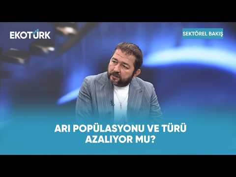 İklim Krizinin Arıcılık Sektörüne Etkisi | Sektörel Bakış