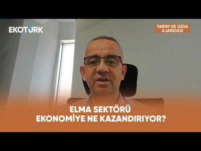 Türkiye'de Elma Üretimi ve Ekonomik Katkı | Tarım ve Gıda Ajandası