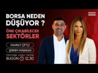 Tebliğ BIST 30’u Destekliyor, Endeks Neden Düştü? | Şebnem Ayabakan | Mahmut Çiftçi | Ekonomi Ekranı