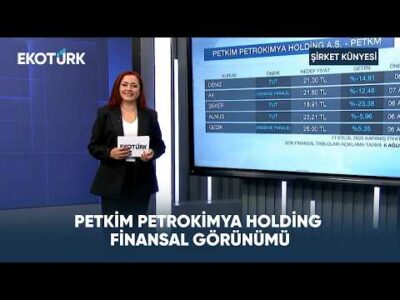 Petkim Petrokimya Holding Finansal Görünümü | Şirket Künyesi