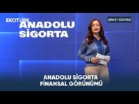 Anadolu Sigorta Finansal Görünümü | Şirket Künyesi