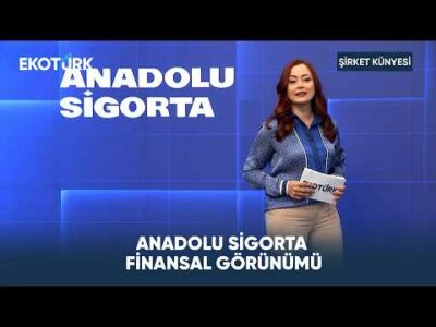 Anadolu Sigorta Finansal Görünümü | Şirket Künyesi