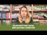 Hane Gelirinin Ne Kadarı Benzine Gidiyor? | Halkın Ekonomisi