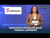 Sarkuysan Elektrolitik Bakır Finansal Görünümü | Şirket Künyesi