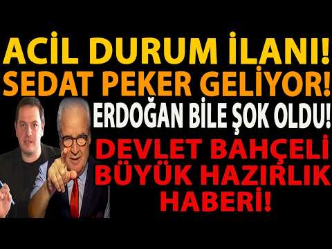 ACİL DURUM İLANI! SEDAT PEKER GELİYOR! ERDOĞAN BİLE ŞOK OLDU! DEVLET BAHÇELİ BÜYÜK HAZIRLIK HABERİ!