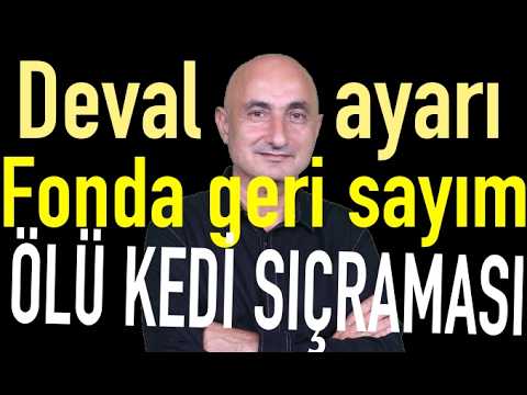 Deval değil ayar | Fonda ödemeye geri sayım | Borsada ölü kedi sıçraması