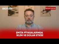 Emtia Piyasalarında İklim ve Dolar Etkisi | Beklenti Raporu