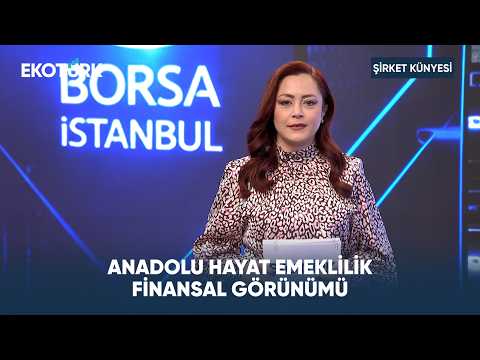 Anadolu Hayat Emeklilik Finansal Görünümü | Şirket Künyesi
