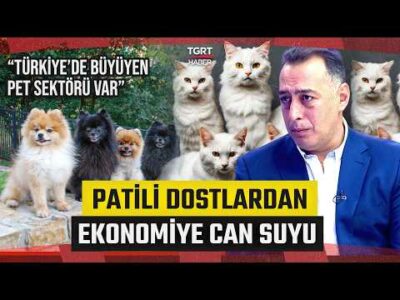 Patili Dostlardan Ekonomiye Büyük Katkı | Türkiye’deki Pet Sektörü Uluslararası Ortaklıkla Büyüyor